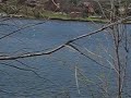 Rowing UT