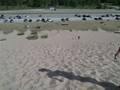 Sand dune descent
