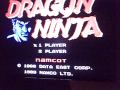 damn!! my camera froze. so only 2 stages for you. a good port from the 1988 arcade classic.dragon ninja,