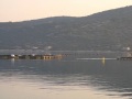 dupin pašman.wmv