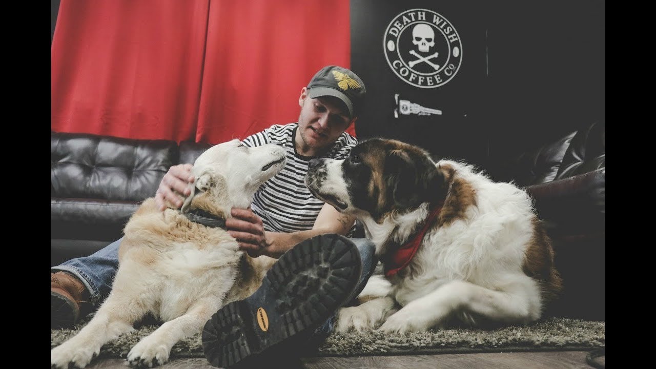 Cover image - Thomas Davis has a gift communicating with dogs. He has turned this into a career as America's Canine Educator and is highly sought after for his methods educating dogs and...