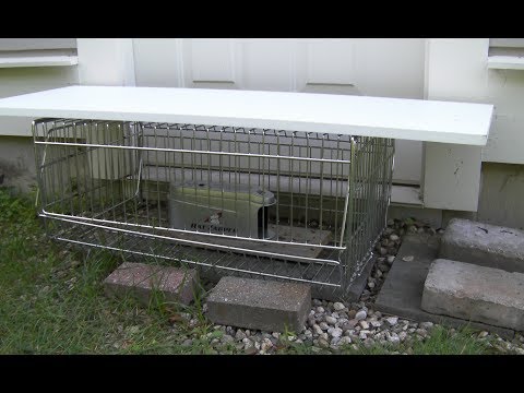 video-linktoworks-How to keep squirrels and pets out of chipmunk & mice...