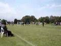 Lenso Tornooi Maaseik NR.10