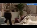 Will Smith's Words Replaced by The Great Mighty Poo