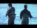 Kenai River Rainbows