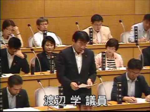 2016年第2回川崎市議会での質問（動画）