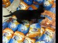 04122009012.mp4