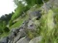 videos de Action i bregottfabriken!