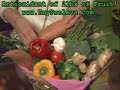 Weight loss  healthy diet tips to keep you feeling younger