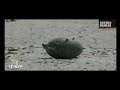 colère noire video clip