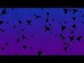 radar festival entry. it's a shame that it on you tube the audio doesn't quite sync up with the visuals as it's all about that synchronisation! oh well...