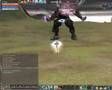 BAIUM-LOL