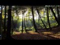 Linux Kubuntu 12 10 x64 Interfaz Grafica KDE