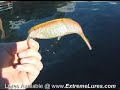 Megabait Charlie Swimbait Bass Fishing Lure Demo Megabait Charlie Swimbait Bass Fishing Lure Demo