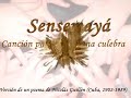 literatura sxx  sensemayá  nicolás guillén