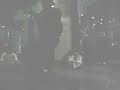 Alien-ness VS Taz (Saturday 18th of Feb 2006)