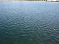 Fly Fishing Frenzy | Rainbow Lake Disapointment - funny video of Rudy Garn on Rainbow Lake