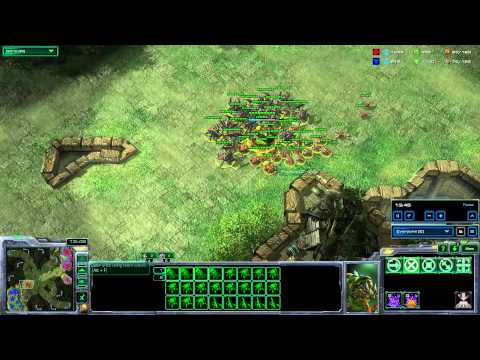 starcraft 2 swarm