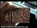 Transparent Cement