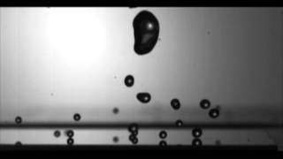 Superhydrophobic nanotextured surface