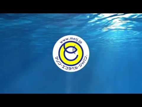講習会の動画を掲載しました | 未来につなげよう海と魚と魚食文化｜MEL