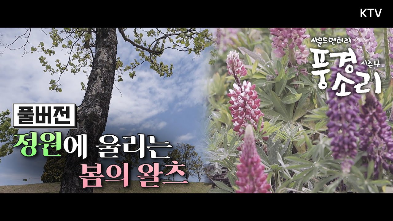 [풍경소리 시즌4] 전라남도 순천, 정원에 울리는 봄의 왈츠 Full ver
