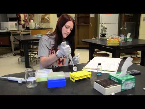 how to perform bradford assay