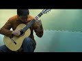 Hua Guitar
