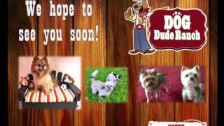 Introducing the Teacup Suite at the Ranch