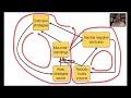 How Organizations Change, Part Two How Organizations Change, Part Two