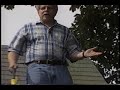 Removing Algae Stains From Roof Shingles Removing Algae Stains From Roof Shingles