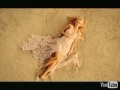 delta-goodrem-in-this-life-official-video.html