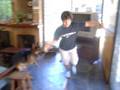 videos de perro rabioso