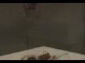 HTG Grow cabinets in action from hg-hydroponics.co.uk