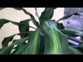 Galaxy Tab 7.7 720p HD Recording Sample