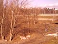 Petrzalka Petrzalka