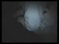La notte del BIG FISH