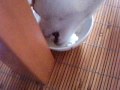 CLIP0126