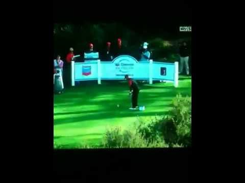 Spectator Shouts Mashed Potatoes After Tigers Tee Shot