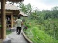 Teras Padi Cafe@Tegalalang.wmv