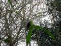 videos de Meise