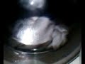 sudsy wash part 7/8 sudsy wash part 7/8
