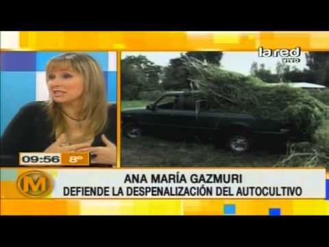 Ana María Gazmuri defiende la despenalización del autocultivo de marihuana