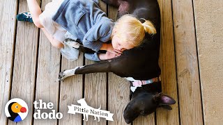Little Girl's Friendship With Her Pit Bull Is The Purest Thing Ever | The Dodo Pittie Nation by The Dodo