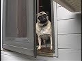 Max Buys a Vacuum