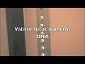 Valitse tutut numerot