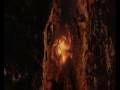 Tristania - Beyond the Veil [LOTR]