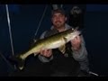 minnesota walleyes ice fishing