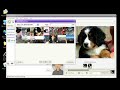 Yahoo Messenger 9.0 Final