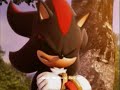 I Am all of me- Shadow The Hedgehog